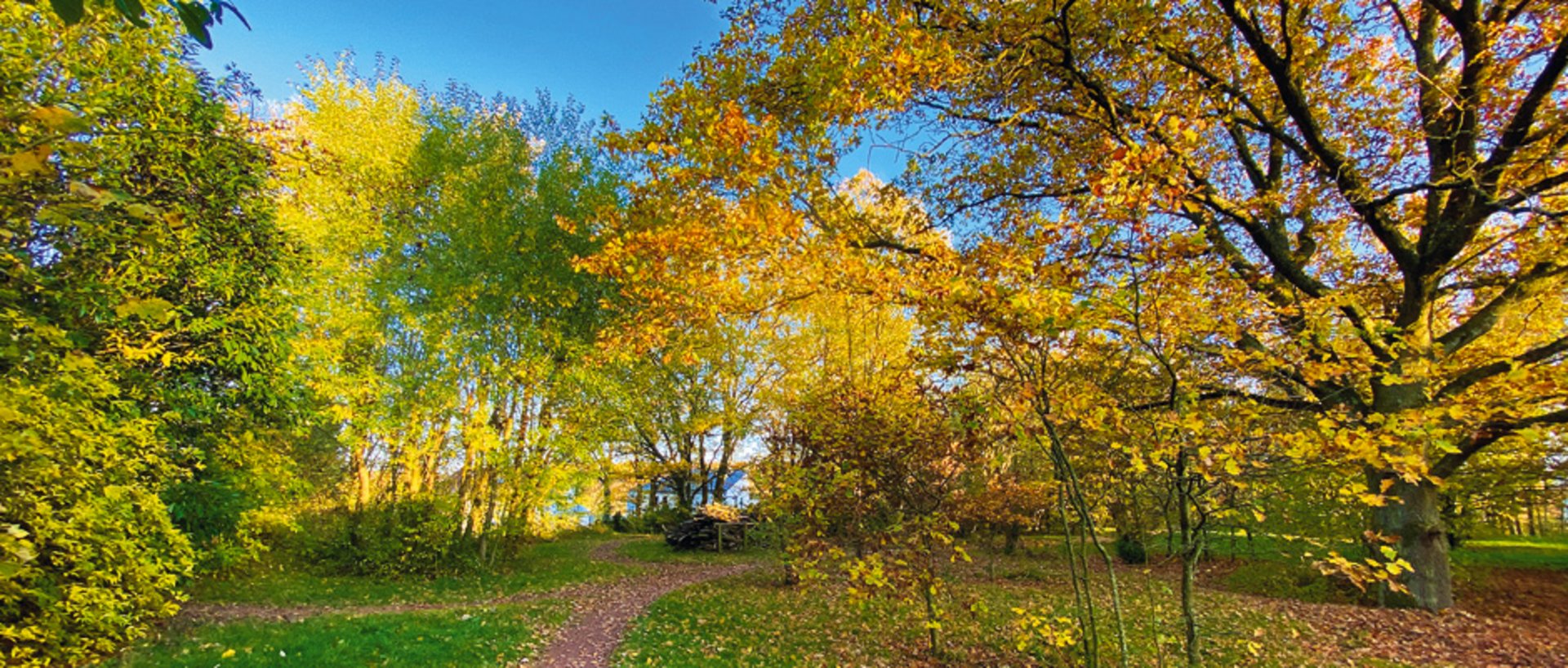 Herbst